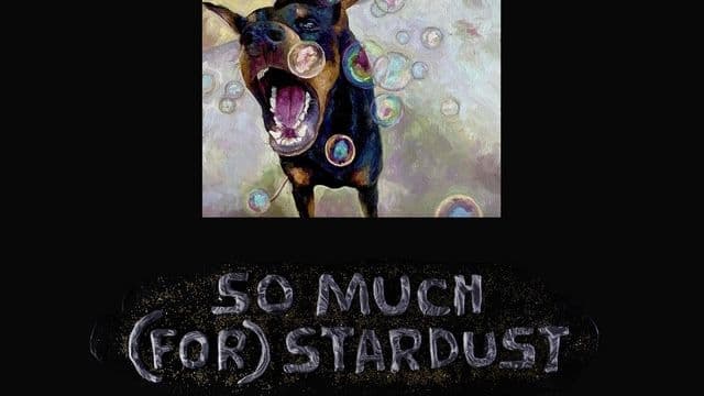 'SO MUCH (FOR) STARDUST' COULD SAVE ROCK & ROLL