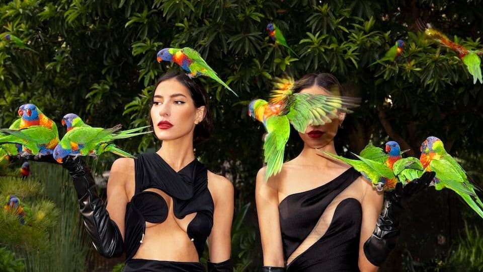 The Veronicas' New Album 'Gothic Summer' is a Bold Showcase of Versatility and Ingenuity